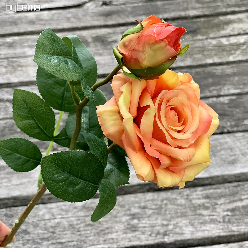 ROSA-Orange