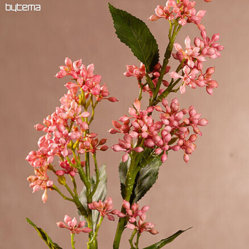 VIBURNUM TINUS ROSA