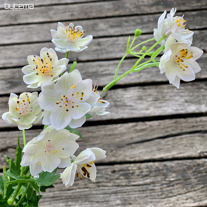 WEIßE WILDE BLUME