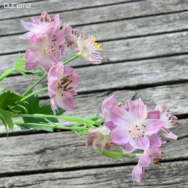 WILDE BLUME ROSA