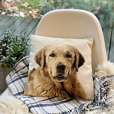 Für Tierliebhaber – Sanftheit, die Sie zähmen wird