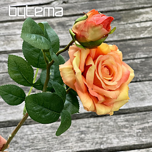 ROSA-Orange